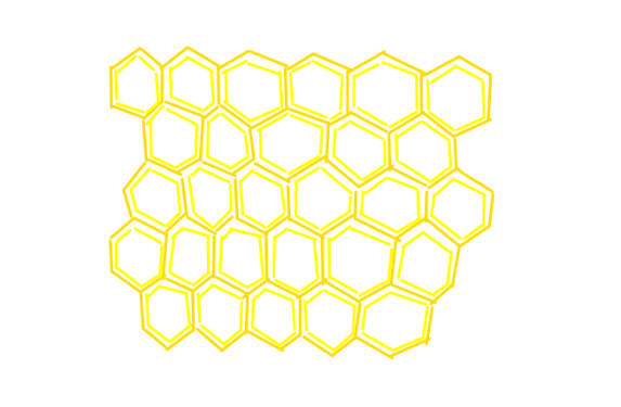 bee_hive